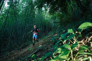 BIB: 
                            <button type="button" onclick="openModal(28124788)" class="btn btn-primary btn-sm float-right btn-popup" data-toggle="modal" data-target=".modal-high-quality">
                        <i class="fas fa-shopping-cart"></i> Add to Cart
                    </button>
                                            <button type="button" onclick="isThisMe(28124788, true)" class="btn btn-success btn-sm float-right btn-popup btn-isme hidden" data-toggle="tooltip" data-placement="bottom" title="นี่คือรูปของคุณใช่ไหม คลิกที่นี่เพื่อเอาเข้าอัลบั้ม">
                        <i class="fas fa-plus"></i> Add to album
                    </button>
                    <button type="button" onclick="isThisMe(28124788, false)" class="btn btn-warning btn-sm float-right btn-popup btn-isnotme hidden">
                        <i class="fas fa-ban"></i> Remove from album
                    </button>